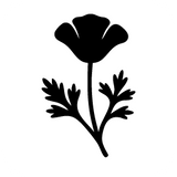 Eschscholzia californica
