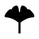 Ginkgo biloba
